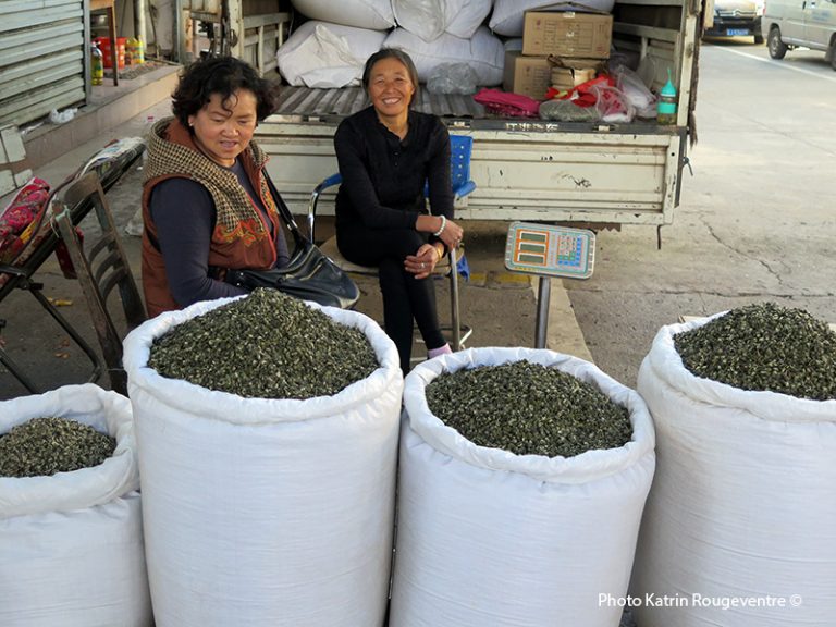 GUIDE DES THÉS DE CHINE,TEASANE, Katrin Rougeventre, L'EMPIRE DU THÉ, PUER, YUNNAN, TEA MARKETS, TEA EXPERT, TEA SOURCING, THÉS DE CHINE